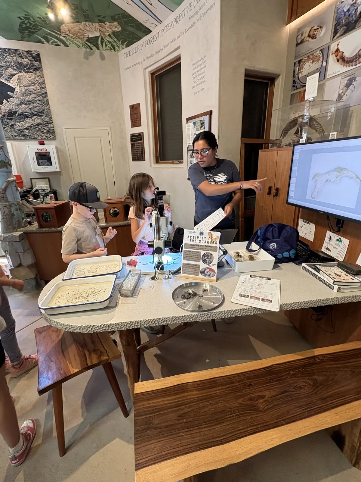 Students and a Conservancy educator dissecting owl pellets at the Elfin Forest Interpretive Center
