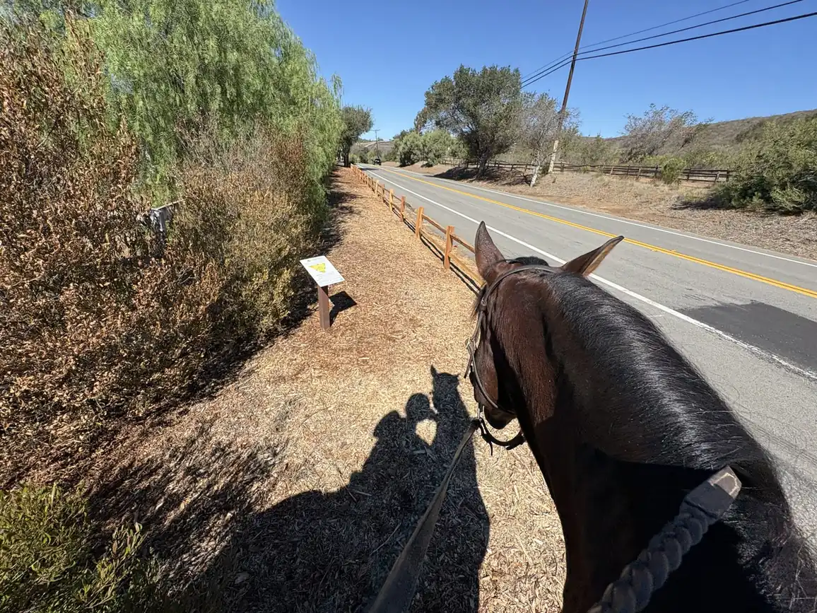 A horse and rider on the community trail beside the new wood rail